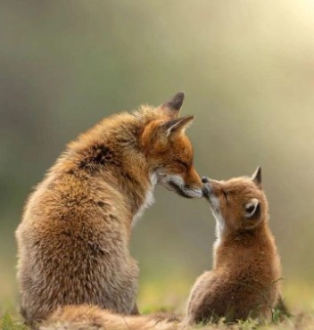 Messageimage 1749714465016